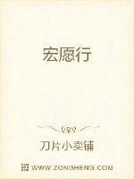宏愿行