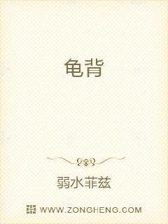 龟背