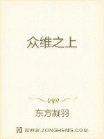 众维之上
