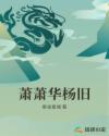 萧萧华杨