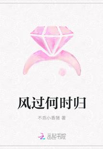 风过何时归