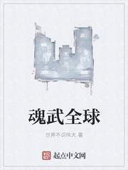 魂武全球