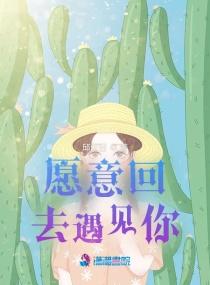 愿意回去遇见你
