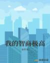 我的智商极高