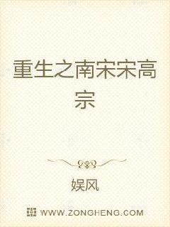重生之南宋宋高宗
