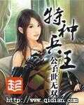 特种兵王