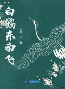 白鹤东南飞