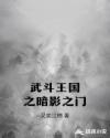 武斗王国之暗影之门