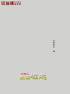 三国之袁家崛起