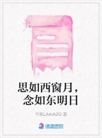 思如西窗月，念如东明日