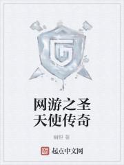 网游之圣天使传奇