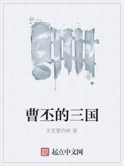 曹丕的三国