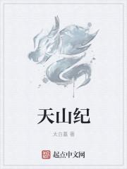 天山纪