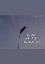 山河顾里