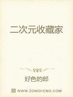 二次元收藏家