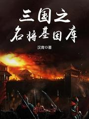 三国之大汉皇权