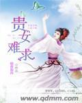 贵女难求内