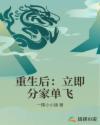 重生后：立即分家单飞