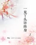 一见丫头许终身