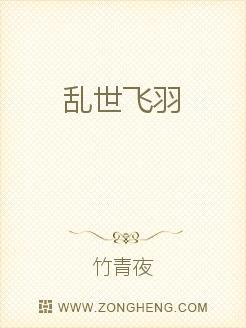 乱世飞羽