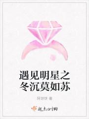 遇见明星之冬沉莫如苏