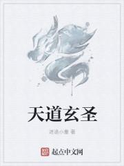 天道玄圣
