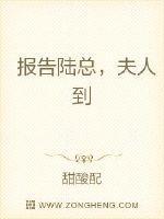 报告陆总，夫人到